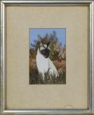 LEWIS Anthea 1948,SIAMESE CAT,McTear's GB 2022-02-06