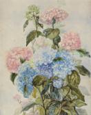 LIAU Louise,"Bouquet d'hortensias,Deburaux & Associ FR 2013-02-24