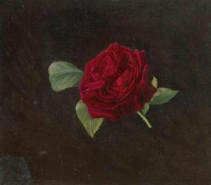 LIBERT Betzy 1859-1944,Studie einer roten Rose,Galerie Bassenge DE 2019-11-29