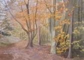 LIEBERT Pam,Autumn in the Forest of Dean,1993,Dickins GB 2009-02-06