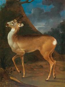 LIHL Heinrich 1690-1756,A roebuck on a path at the edge of the forest,Palais Dorotheum AT 2017-10-17