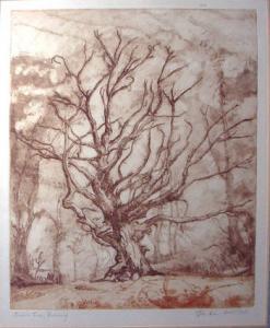 LIM John 1932,KIM , 'Beech tree Ratcheugh', etching, 35cm x 28cm,Lots Road Auctions GB 2007-02-25
