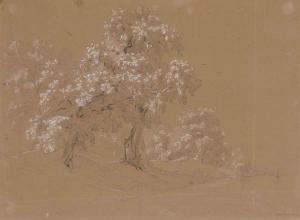 LINCK Jean Antoine 1766-1843,Bäume an einem Seeufer,Schuler CH 2021-12-13