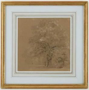 LINCK Jean Antoine 1766-1843,Etude d'arbres,Piguet CH 2009-09-30
