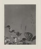 LINCOLN Edwin Hale 1848-1938,Wildflowers of New England,Swann Galleries US 2013-12-12