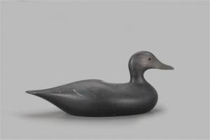 LINCOLN Joseph W 1859-1938,Early "Angel Wing" Black Duck,1910,Copley US 2022-07-15