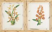 LINDEN Jean Jules 1817-1898,Untitled (12 Botanical works),Skinner US 2023-07-18