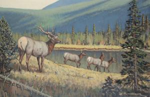 LINDSTROM Matt 1889-1975,Untitled - Elk by the Lake,Levis CA 2023-05-20