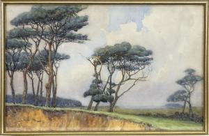 linnell Laurence 1909-1926,SCOTCH FIRS,1914,McTear's GB 2018-12-09