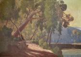 LISTER William 1859-1943,Sunlit Morning, Hawkesbury,Elder Fine Art AU 2015-12-06