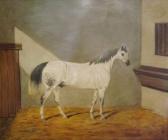 LODER James 1820-1870,A grey dappled stallion in a stable,1853,David Lay GB 2014-01-16