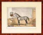 LODER OF BATH Edwin,A PORTRAIT OF THE GREY RACEHORSE HOCKSTER IN A STA,Anderson & Garland 2014-03-25