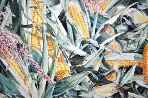 LONG Jan,Still Life - Sweet Corn,Theodore Bruce AU 2013-03-13