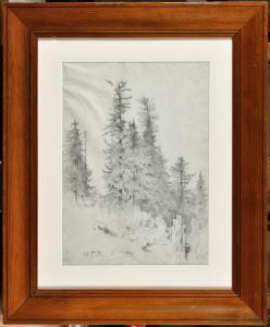 LOPPE Gabriel 1825-1913,Etude de sapins dans les montagnes,Osenat FR 2023-06-18