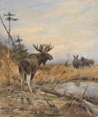 LORENZ Willy 1901-1981,Pack of Elk,1962,Palais Dorotheum AT 2013-02-07