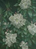 LOUDON Terence 1931-1949,White rhododendrons,Bonhams GB 2004-10-19