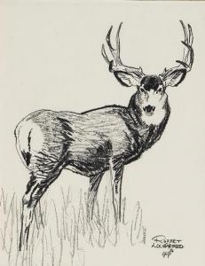 LOUGHEED Robert Elmer 1910-1982,Buck Mule Deer,Scottsdale Art Auction US 2010-04-10