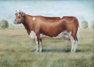 LOVATT A,Ayrshire cow,Peter Wilson GB 2010-07-07