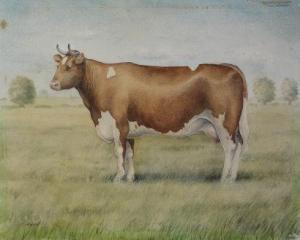 LOVATT A,Portrait of a prize winning Ayrshire dairy cow,Dickins GB 2010-01-08
