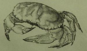 LUCAS Marjorie,Crab,1933,Simon Chorley Art & Antiques GB 2011-03-03