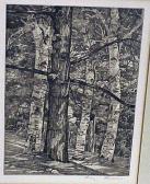 LUCIONI Luigi,PINE IN THE BIRCHES(E.132); TREE PORTRAITS (E.150),1959,William Doyle 2000-10-31