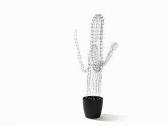 LUCKENEDER Christoph 1950,Light Cactus,2009,Auctionata DE 2015-01-27