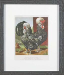 LUDLOW J.W,The Illustrated Book of Poultry,1880,Christie's GB 2006-03-07