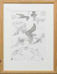LUIS JACOB AND CHRIS CURRERI,SEABIRDS,2005,McTear's GB 2018-04-25