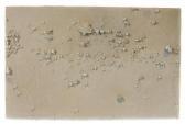 lumbert Donal 1900-1900,Untitled #2 (from Pedazos del suelo Series),1980,Bonhams GB 2010-01-17