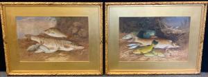 LYDON ALEXANDER FRANCIS,A Pair, Pike and other Fish,Bamfords Auctioneers and Valuers 2022-06-19