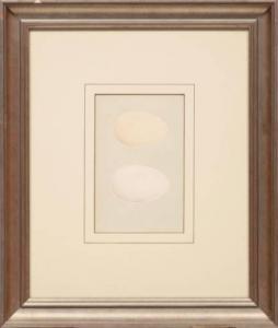 LYDON ALEXANDER FRANCIS 1836-1917,Eider Duck Egg & King Duck Egg,Neal Auction Company US 2022-02-16