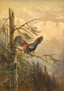 MÜLLER Moritz II 1868-1934,A wood grouse perched on a branch,1918,Palais Dorotheum AT 2023-09-07