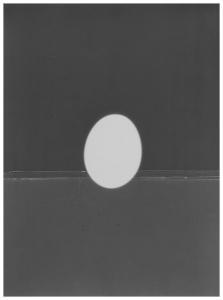 MAAR Dora,Compositions - Ovale et lignes,1980,Artcurial | Briest - Poulain - F. Tajan 2024-04-04