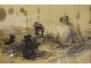 MABEL Jones,Two rams with sheep dogs,1908,Andrew Smith and Son GB 2009-02-24