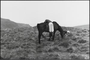 MACCARTNEY Linda 1942-1998,Horse, nd,Bonhams GB 2021-08-31