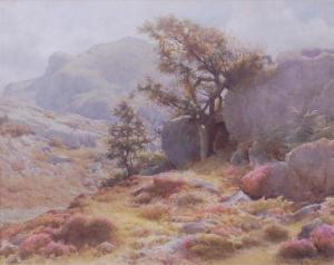 MACDONALD Albert Angus,Wildflowers on a rocky mountainscape,1903,Lacy Scott & Knight 2016-09-10