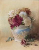macdonald alexander 1893-1913,Chrysanthemums in a Wedgwood jug,Woolley & Wallis GB 2017-03-15