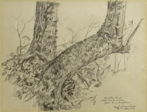 MACDONALD MYLES J 1941,Birch Tree Trunk.....,1979,Lando Art Auction CA 2016-10-16