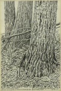 MACDONALD MYLES J 1941,Popular Tree Trunks No.3,1980,Lando Art Auction CA 2016-02-21