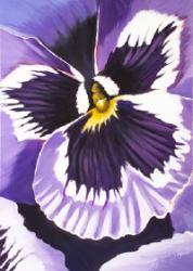 MACDOUGALD Reza 1900-1900,Pansies in Flight,Adams IE 2005-06-28