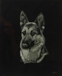 Mace G,Alsatian Dog,1982,David Duggleby Limited GB 2017-09-09