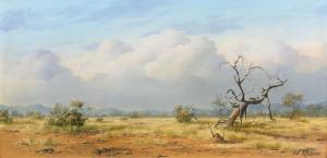 MACINTOSH Rob 1949,Bushveld Landscape,1981,5th Avenue Auctioneers ZA 2023-02-19