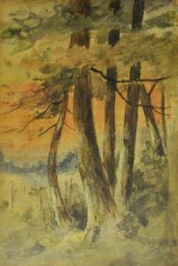 MACINTOSH,TREES,1925,Ritchie's CA 2013-07-08