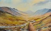 MACINTYRE David,NEAR GLENVEAGH, DONEGAL,Ross's Auctioneers and values IE 2014-10-08