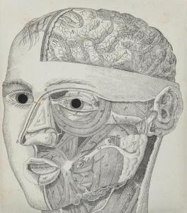 MACIUNAS GEORGE 1931-1978,Face anatomy mask,1973,Boetto IT 2023-04-18