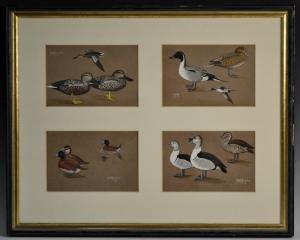 MACKENZIE M.J. S,Ducks,1908,Bamfords Auctioneers and Valuers GB 2016-10-26