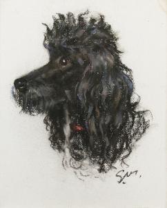 MACKIE Stella 1900-1900,Head studies of the black miniature poodles Mayque,1945,Bonhams 2005-01-25