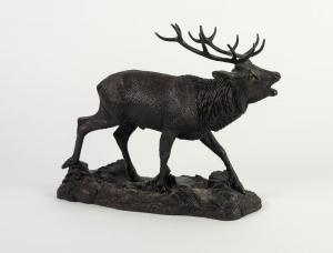 Mackie Tom,a bellowing stag,Capes Dunn GB 2021-08-23