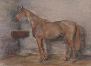 MACKINNON A.R,Portrait of a horse "Camouflage",Burstow and Hewett GB 2016-11-16