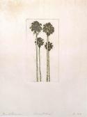 MACKINNON PEARSON Ian 1896,Four Palms,Mossgreen AU 2009-06-02